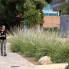 Native American garden